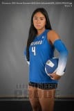 Senior Banners BHS Girls Volleyball