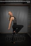 Senior Banners EHHS Dance Team (BRE_9607)