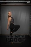 Senior Banners EHHS Dance Team (BRE_9610)