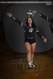 Senior Banners EHHS Girls Volleyball