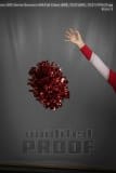 Senior Banners HHS Fall Cheer (BRE_7637)