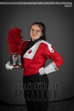 Senior Banners HHS Marching Band (BRE_6814)