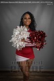 Senior Banners HHS Winter Cheer (BRE_6031)