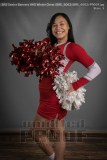 Senior Banners HHS Winter Cheer (BRE_6062)