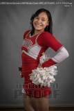 Senior Banners HHS Winter Cheer (BRE_6074)