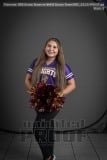 Senior Banners NHHS Dance Team