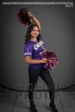Senior Banners NHHS Dance Team