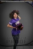 Senior Banners NHHS Dance Team