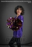 Senior Banners NHHS Dance Team