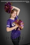 Senior Banners NHHS Dance Team