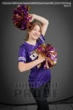 Senior Banners NHHS Dance Team