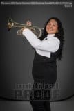 Senior Banners NHS Marching Band