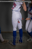Senior Banners WHHS Girls Softball (BRE_5024)