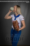 Senior Banners WHHS Girls Softball (BRE_5062)