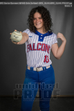 Senior Banners WHHS Girls Softball (BRE_5144)