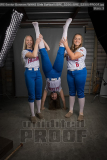 Senior Banners WHHS Girls Softball (BRE_5250)