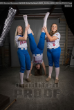 Senior Banners WHHS Girls Softball (BRE_5251)