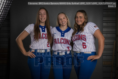 Senior Banners WHHS Girls Softball (BRE_5267)