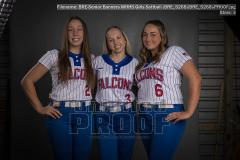 Senior Banners WHHS Girls Softball (BRE_5268)