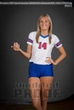 Senior Banners WHHS Girls Volleyball