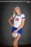 Senior Banners WHHS Girls Volleyball
