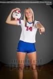 Senior Banners WHHS Girls Volleyball