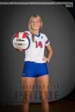 Senior Banners WHHS Girls Volleyball