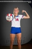 Senior Banners WHHS Girls Volleyball
