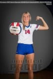 Senior Banners WHHS Girls Volleyball