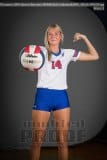 Senior Banners WHHS Girls Volleyball
