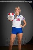 Senior Banners WHHS Girls Volleyball