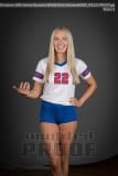 Senior Banners WHHS Girls Volleyball