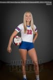 Senior Banners WHHS Girls Volleyball
