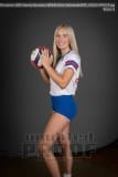 Senior Banners WHHS Girls Volleyball