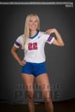 Senior Banners WHHS Girls Volleyball