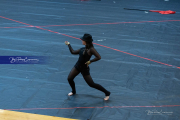 WHHS Colorguard (BR3_8447)