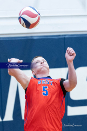 Boys Volleyball: West Henderson at TC Roberson (BR3_2151)