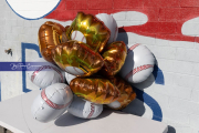 Baseball: Wesleyan Christian at West Henderson (BR3_3732)