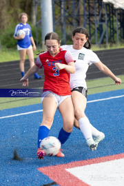 Girls Soccer East Henderson at West Henderson (BR3_6608)