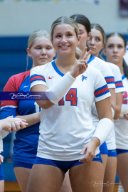 Girls Volleyball: Hendersonville at West Henderson (BR3_5433)