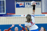 Girls Volleyball: Hendersonville at West Henderson (BR3_5555)