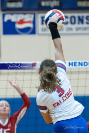 Girls Volleyball: Hendersonville at West Henderson (BR3_5556)