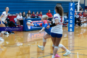 Girls Volleyball: Hendersonville at West Henderson (BR3_5601)