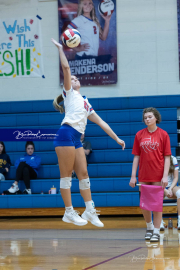 Girls Volleyball: Hendersonville at West Henderson (BR3_5654)