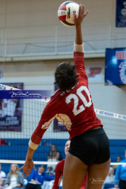 Girls Volleyball: Hendersonville at West Henderson (BR3_5734)