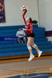 Girls Volleyball: Hendersonville at West Henderson (BR3_5739)