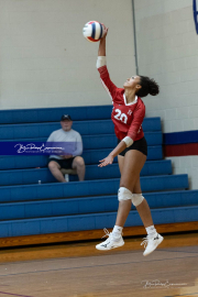Girls Volleyball: Hendersonville at West Henderson (BR3_5759)