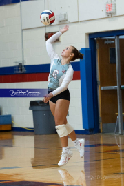 Girls Volleyball: Hendersonville at West Henderson (BR3_5780)