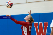 Girls Volleyball: Hendersonville at West Henderson (BR3_5844)