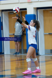 Girls Volleyball: Hendersonville at West Henderson (BR3_5877)